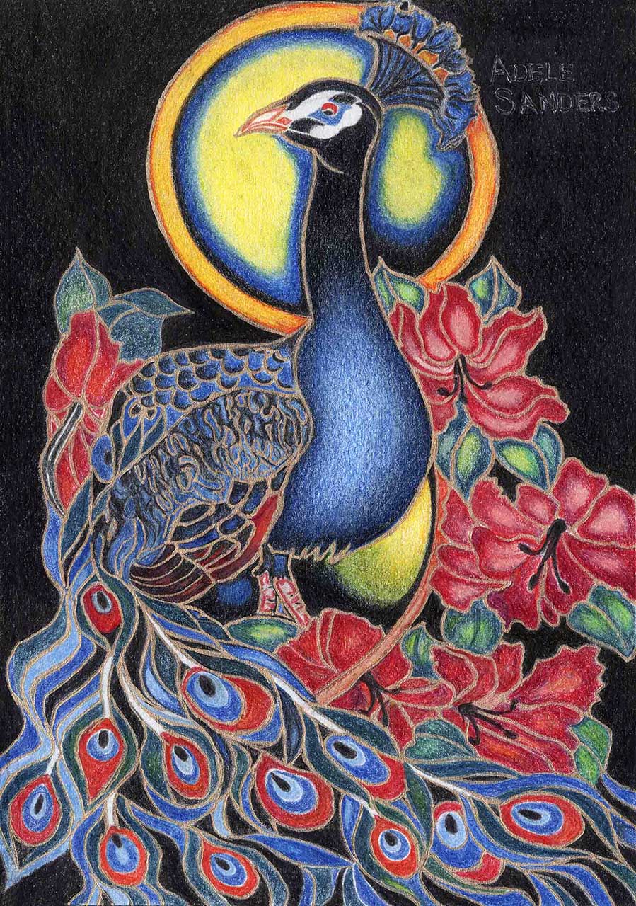 01 Peacock Prince 899x1280